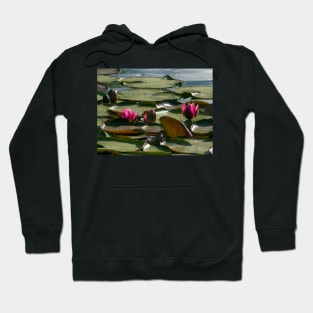 Pond with Water Lilies Hoodie